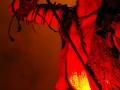 Watain red5